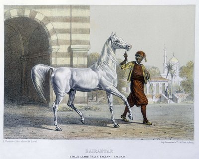 Stalon arabe, Bairaktar द्वारा फ्रेंच स्कूल