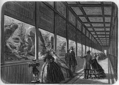 1863 में पेरिस अनुकूलन उद्यान का एक्वेरियम। द्वारा फ्रेंच स्कूल