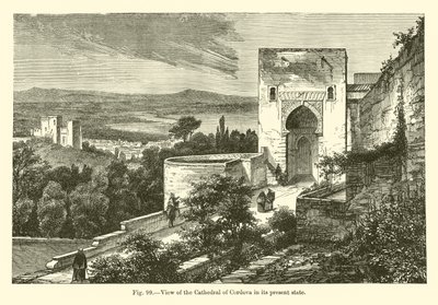 कॉर्डोवा के कैथेड्रल को उसकी वर्तमान स्थिति में देखें (उत्कीर्णन) द्वारा फ्रेंच स्कूल