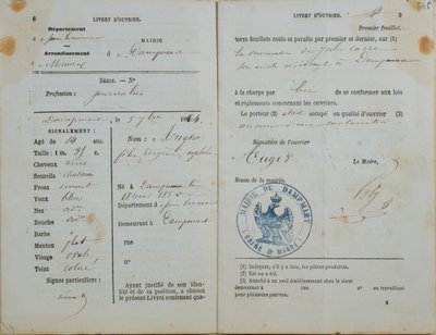 डेम्पमार्ट की मैरी द्वारा फेलिक्स ऑस्टर (b.1850), 1864 को वर्कर्स हैंडबुक जारी की गई द्वारा फ्रेंच स्कूल