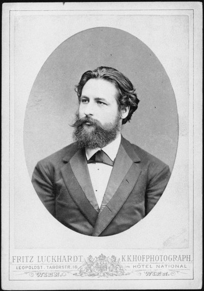 पियानोवादक और संगीतकार हेनरिक कार्ल जोहान हॉफमैन 1842-1902 के चित्र। द्वारा फ़्रिट्ज़ लकहार्ट