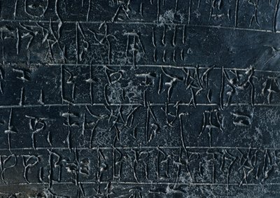  द्वारा गेब्रियल बेला