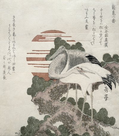 क्रेन (Tsuru) श्रृंखला से 2 क्रेन और कछुओं के डिजाइन, 1818-30 (वुडब्लॉक उत्कीर्णन) द्वारा गकुटेति हरुनोबु