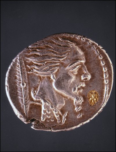 एक गॉलोइस टुकड़े पर Vercingetorix की प्रोफ़ाइल मान लें। पदक संग्रह का संग्रहालय। मिलन द्वारा गूलिश गालिश