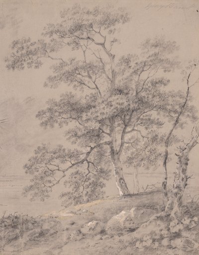  द्वारा George Barret
