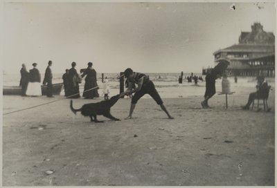लड़का और कुत्ता, आयरन पियर, कोनी द्वीप, ब्रुकलिन, c.1885 (मुद्रित जिलेटिन सिल्वर प्रिंट) द्वारा जॉर्ज ब्रैडफोर्ड ब्रेनरड