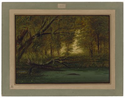  द्वारा जॉर्ज कैटलिन