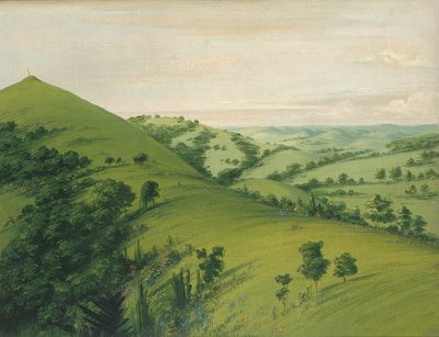 ब्लैकबर्ड्स ग्रेव, ए बैक व्यू, प्रेयरीज इनेमल विद फ्लावर्स, 1832। द्वारा जॉर्ज कैटलिन