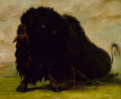 मरने वाली भैंस, एक तीर से मारी गई, 1832-1833। द्वारा जॉर्ज कैटलिन
