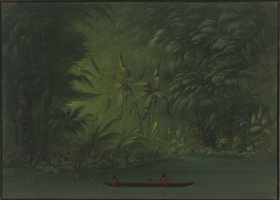 एक लैगून में प्रवेश, अमेज़ॅन का तट, 18541869। द्वारा जॉर्ज कैटलिन