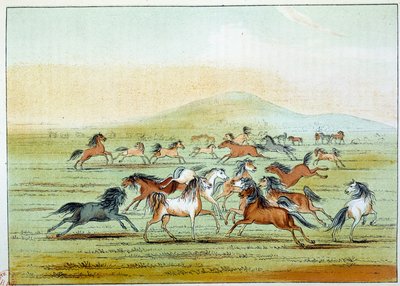 अमेरिका के भारतीय: भारतीयों द्वारा शिकार किए जाने वाले जंगली घोड़े। जॉर्ज कैटलिन द्वारा चित्रण (1794-1872) द्वारा जॉर्ज कैटलिन