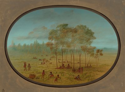 Kiowa भारतीयों जंगली अंगूर इकट्ठा, 18611869। द्वारा जॉर्ज कैटलिन