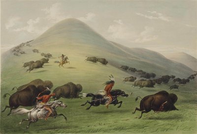 दी बफ़ेलो हंट द्वारा George Catlin