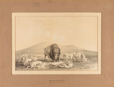  द्वारा जॉर्ज कैटलिन