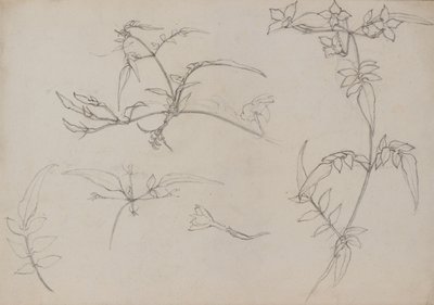  द्वारा George Dutch Davidson