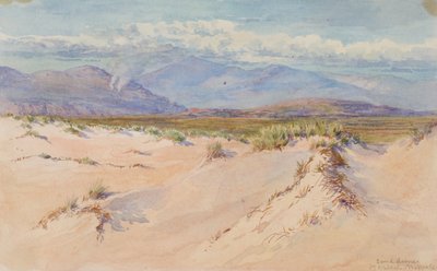 सैंड ड्यून्स, हार्लेच, नॉर्थ वेल्स, 1899। द्वारा जॉर्ज एल्बर्ट बूर