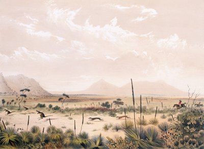 कंगारू हंट द्वारा जॉर्ज फ्रेंच एंगस