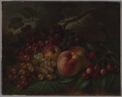 पीचिस, अंगूर और चेरी, c.1860-70 (कैनवास पर तेल) द्वारा जॉर्ज हेनरी हॉल