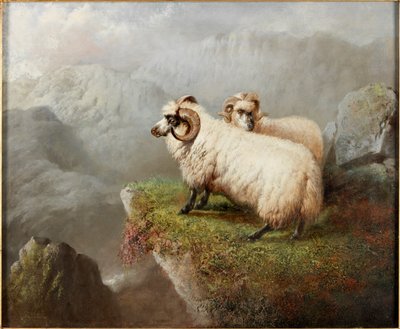 भेड़ एक चट्टान पर, c.1865-68 द्वारा जॉर्ज हेपर