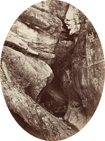 विलियम्स कॉलेज के पास झरना, c. 1870. द्वारा जॉर्ज के वारेन