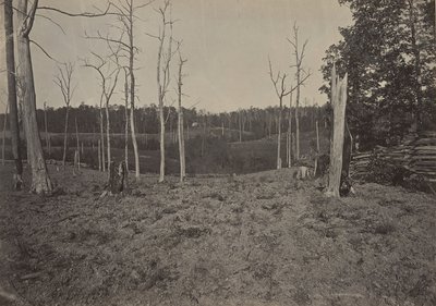 रेसाका का बैटल ग्राउंड, जॉर्जिया नंबर 1, 1860। द्वारा जॉर्ज एन। बरनार्ड