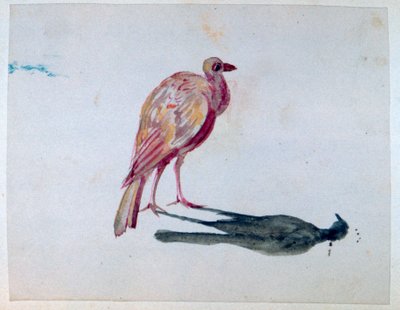 पक्षी, 1820-1876 द्वारा जॉर्ज सैंड