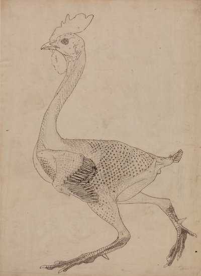  द्वारा जॉर्ज स्टब्स
