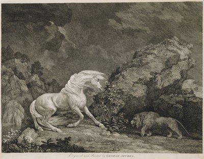 कलाकार द्वारा उकेरा गया एक शेर से प्रभावित एक घोड़ा द्वारा George Stubbs