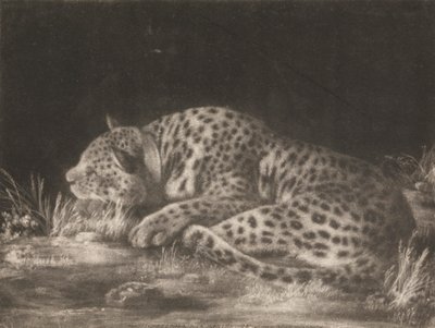  द्वारा जॉर्ज स्टब्स