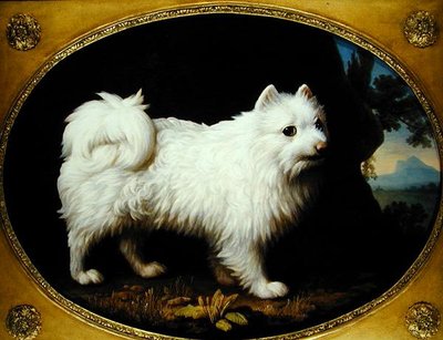 ए व्हाइट स्पिट्ज, c.1770 (तामचीनी चीनी मिट्टी के बरतन पर तेल) द्वारा जॉर्ज स्टब्स