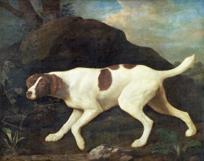 Phillis, लॉर्ड क्लेरमोंट का एक सूचक द्वारा जॉर्ज स्टब्स