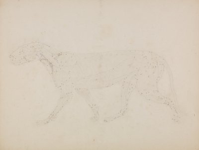एक टाइगर का अध्ययन, पार्श्व दृश्य, &39;टाइगर और एक कॉमन फॉल के साथ मानव शरीर की संरचना की तुलनात्मक शारीरिक अभिव्यक्ति&39; द्वारा जॉर्ज स्टब्स
