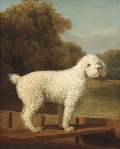 सफेद पूडल एक पंट में, c.1780 द्वारा जॉर्ज स्टब्स