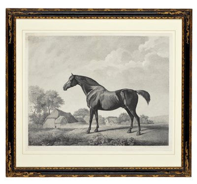 Sweetbrier (स्टिपल उत्कीर्णन) द्वारा जॉर्ज टाउनले स्टब्स