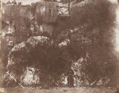 सेल्विया का बगीचा, सिरैक्यूज़, सिसिली, 1846। द्वारा जॉर्ज विल्सन ब्रिजेस