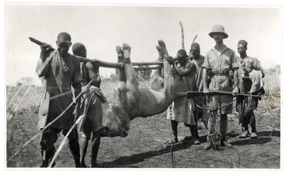 बहार अल ग़ज़ल में शेर, अम दफोक, 1925 (जिलेटिन सिल्वर प्रिंट) द्वारा जॉर्जेस मैरी हैर्ड