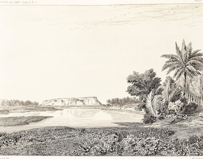 इराक, बेबीलोन का दृश्य, जॉर्जेस पेरोट (1832-1914) और चार्ल्स चिपिज़ (1835-1901), हिस्टोइरे डे ल'आर्ट डैन्स ल'एंटिकाइट द्वारा उत्कीर्णन से एफ, थॉमस द्वारा चित्रित द्वारा जॉर्जेस और चिपीज़ चार्ल्स पेरोटो