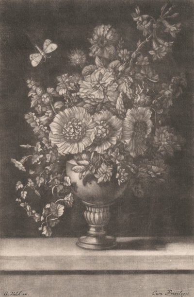  द्वारा Gerard Valk