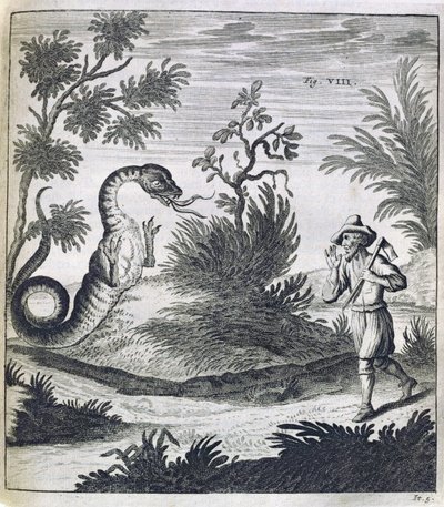 एक भयभीत ड्रैगन, c.1660 द्वारा जर्मन स्कूल