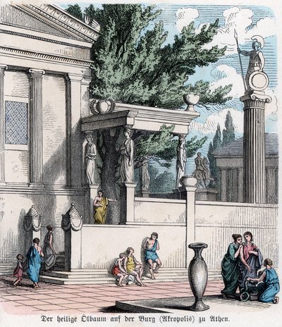  द्वारा जर्मन स्कूल