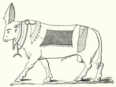 एपिस, प्राचीन मिस्र का पवित्र बैल (उत्कीर्णन) द्वारा जर्मन स्कूल