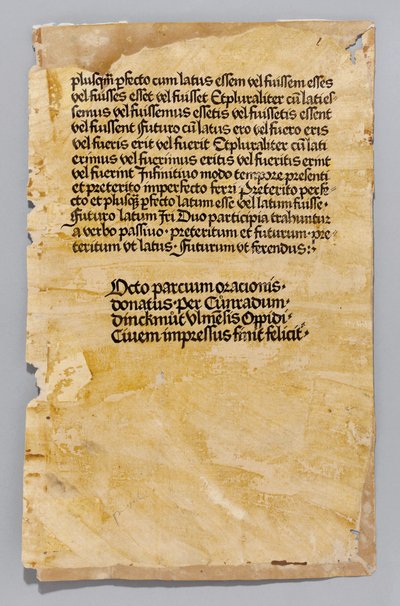 एलीस डोनटस द्वारा अरस माइनर, कोनराड डिनकमट, उल्म द्वारा मुद्रित, c.1476-80 (ब्लॉक) द्वारा जर्मन स्कूल