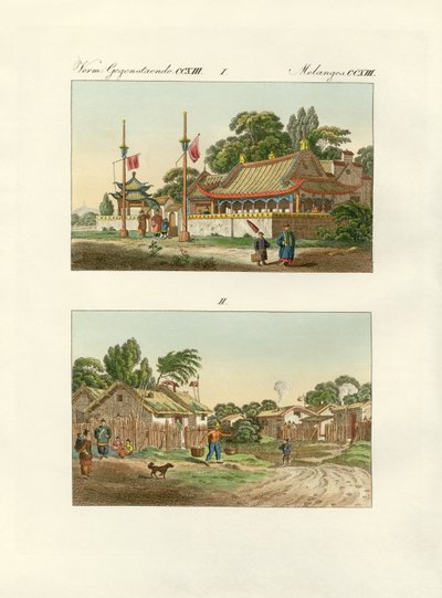 चीनी के फ्लैट (रंगीन उत्कीर्णन) द्वारा जर्मन स्कूल