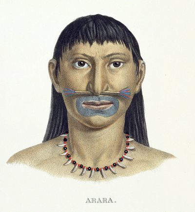 जोहान बैपटिस्ट वॉन स्पिक्स (1781-1826) और कार्ल फ्रेडरिक फिलिप मार्टियस (1794-1868) द्वारा ब्राज़ील में एक यात्रा के एटलस से नीले चेहरे के रंग के साथ अरारा जनजाति के मूल निवासी, प्रकाशित किया गया। द्वारा जर्मन स्कूल