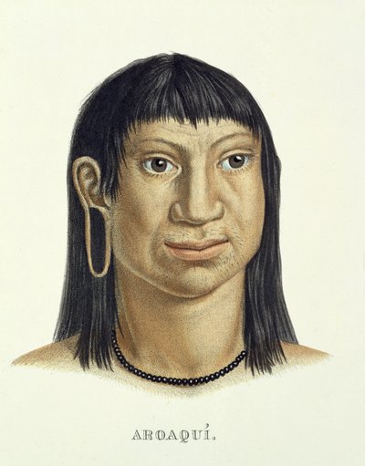 जोहान बैपटिस्ट वॉन स्पिक्स (1781-1826) और कार्ल फ्रेडरिक फिलिप मार्टियस (1794-1868) द्वारा ब्राज़ील में एक यात्रा के एटलस से आरोक्वी जनजाति के मूल निवासी, प्रकाशित c.13535-50 प्रकाशित द्वारा जर्मन स्कूल
