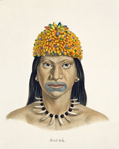 जोहान बैपटिस्ट वॉन स्पिक्स (1781-1826) और कार्ल फ्रेडरिक फिलिप मार्टियस (1794-1868) द्वारा ब्राज़ील में एक यात्रा के एटलस से छोटे नीले और नारंगी पंखों की हेडड्रेस के साथ मौहे जनजाति के मूल निवासी द्वारा जर्मन स्कूल