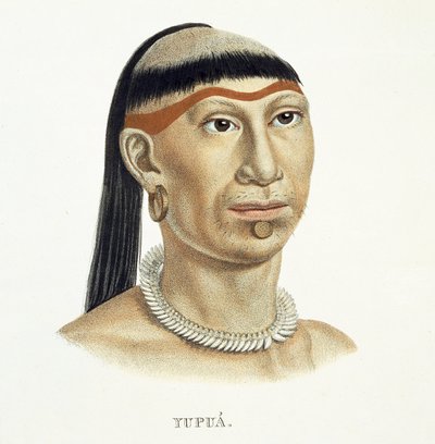 जुप बैप्टिस्ट वॉन स्पिक्स (1781-1826) और कार्ल फ्रेडरिक फिलिप मार द्वारा ब्राजील में एटलस ऑफ़ ए जर्नी से प्लुप्ड और मुंडा हुए बालों और जानवरों के दांतों से बने हार के साथ यूपुआ जनजाति के मूल निवासी द्वारा जर्मन स्कूल