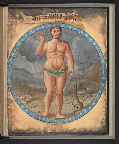  द्वारा जर्मन स्कूल