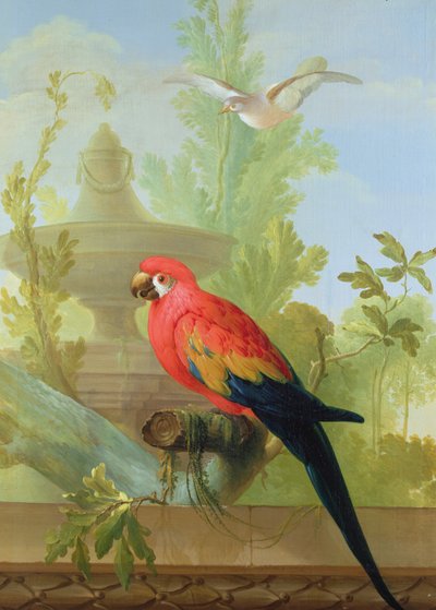 एक मैकॉ और एक सजावटी उद्यान में एक कबूतर, 1772 द्वारा गेरिट वैन डेन हेउवेल