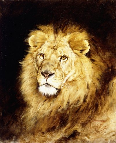 एक शेर का सिर, द्वारा गीजा वास्तुग